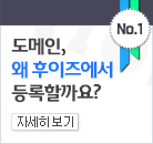 대한민국 도메인 1위, 후이즈